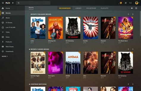 Watch Free Movies Online with Plex